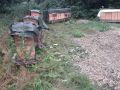 Bienen bei der Fenchelhonigernte